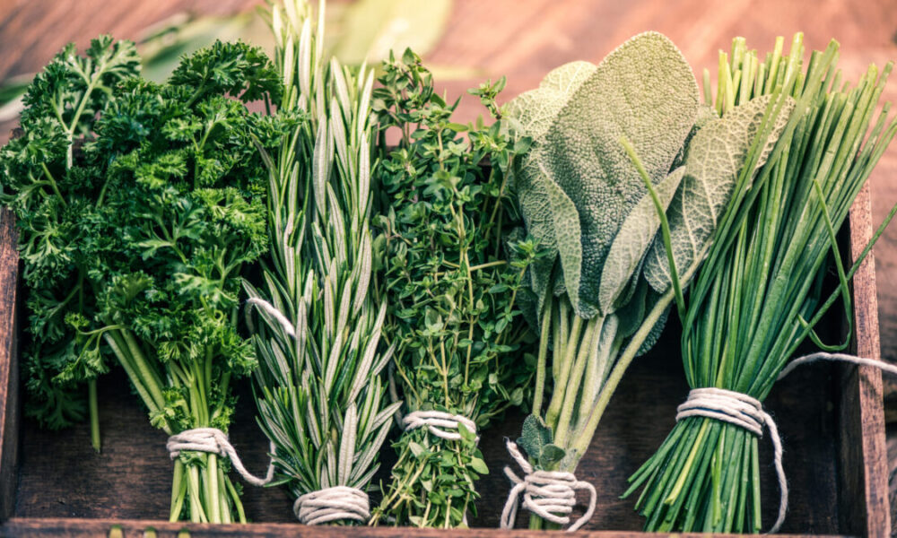 cooking with fresh herbs