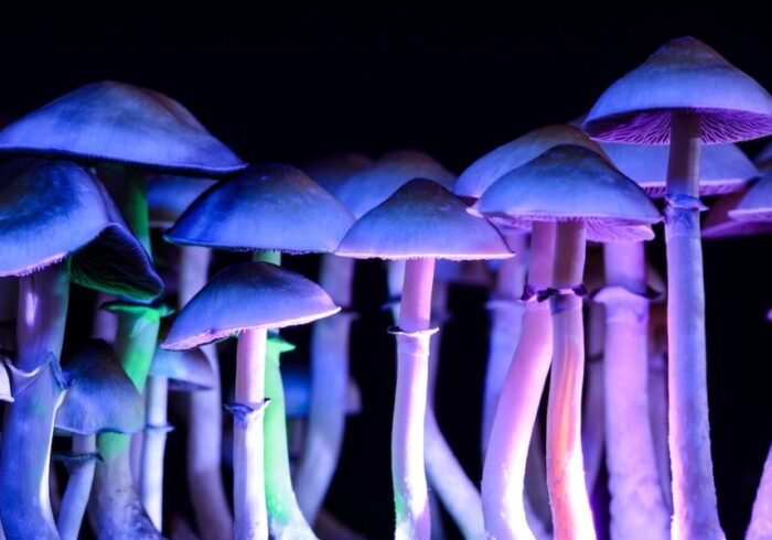 Magic Mushroom