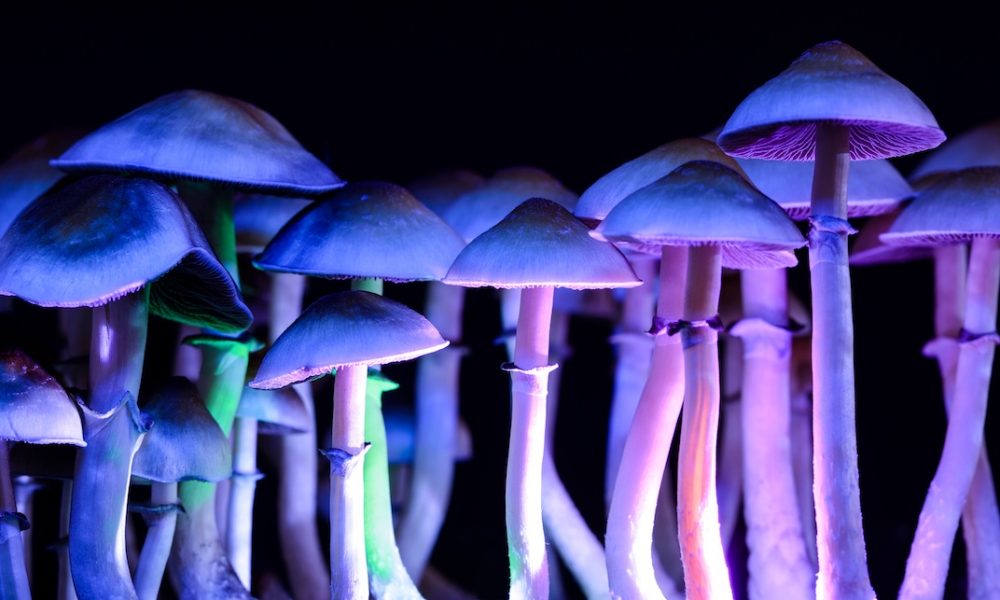 Magic Mushroom